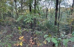 Tract 6 CR 369, OXFORD, MS 38655