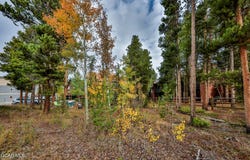870 Ferret Lane, Fraser, CO 80442