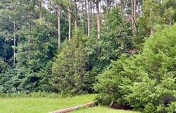 1012 Sally White Rd Ext, Hodges, SC 29653