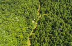 105 Chambers Fork Road, Campton, KY 41301