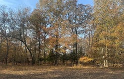 FM 44, Annona, TX 75550