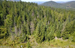 10 Kingston Way, Kingston, ID 83839