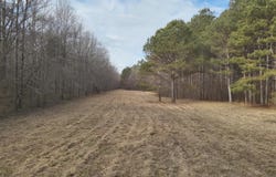 1356 Harrell Road, Maben, MS 39750