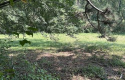 Attaway Road, Bowdon, GA 30108
