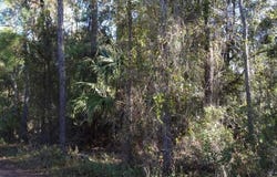 12TH AVE, DELAND, FL 32724