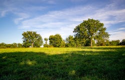 E 1570 Road, Jerico Springs, MO 64756