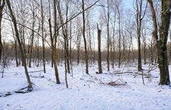 Columbine Circle lot: 124, Terra Alta, WV 26764