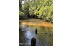 156.3 Acres Beesley Road, Lucedale, MS 39452