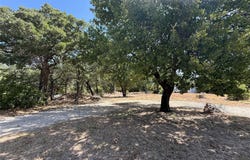 725 Greenbriar Drive, Clyde, TX 79510