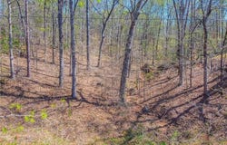 Arrow Lane, Lavonia, GA 30553