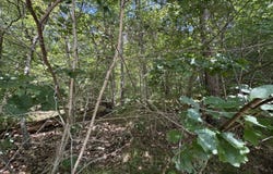 River Road, Willington, CT 06279