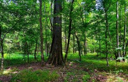 Perrytown Road, Crosby, MS 39633