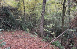 Clinton Crossing Drive, Gray, GA 31032