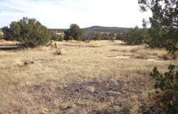 N Trackside Trail Lane, Ash Fork, AZ 86320