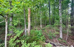Forest Chapel Rd, Pamplin, VA 23958