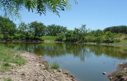 County Road 146, Melvin, TX 76825