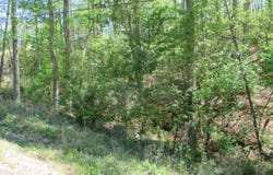 Morrison Moore Parkway E, Dahlonega, GA 30533