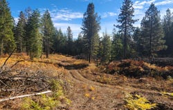 43xx Lyons Hill Rd, Springdale, WA 99173