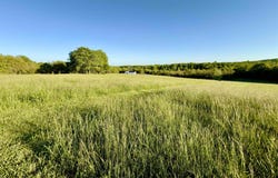 1779 NC 1600, Compton, AR 72624