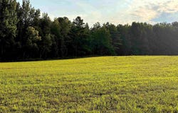 6195 RICKS Rd, Arlington, TN 38002