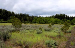 L24 Targhee Ct, McCall, ID 83638