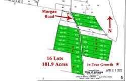 Morgan Road, Burnham, ME 04922
