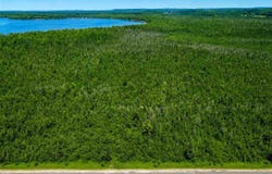E Van Road, Pellston, MI 49769