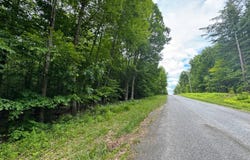 0 Prentice Gorge Rd., Unadilla, NY 13849