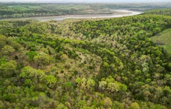 State Highway D, Thornfield, MO 65762