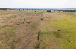 Tr 5 50 acre 4 Wire, Bowie, TX 76230