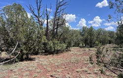 4519 N Centerline Boulevard, Ash Fork, AZ 86046