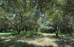 TBD Rubin Lee Road, CAT SPRING, TX 78933