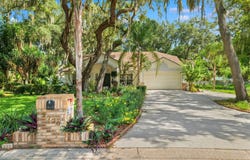 2770 BUCKHORN OAKS Drive, VALRICO, FL 33594