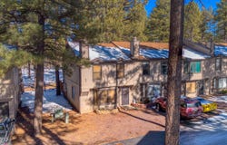 1460 S ADAIR Drive, Pinetop, AZ 85935