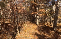 Long Hollow Rd, Versailles, MO 65084