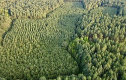 240 ac Highway 49 S, Nelson, VA 24580