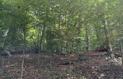 Lenhardt Road, Easley, SC 29640