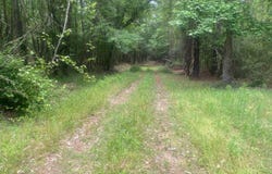 Bruno Rd, Andalusia, AL 36421