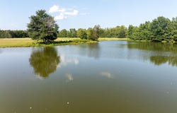Arthur Kirk Rd., Beebe, AR 72012-0000