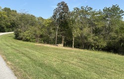 0 Hogg Ridge, Williamstown, KY 41097