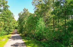 Mt Clouds Tr lot: 31, Duff, TN 37729