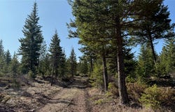 Kootenai Echo Trail, Rexford, MT 59930