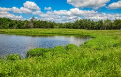 1850 Lcr 439, Mexia, TX 76667