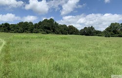 FM 785, Atlanta, TX 75551