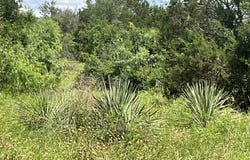 W FM 2486, Gustine, TX 76455