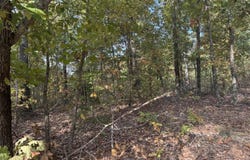 Tbd Yy Highway, Norwood, MO 65717