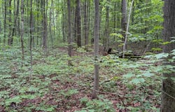 Parcel B2 Johnson Road lot: B2, Mancelona, MI 49659