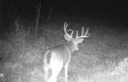 Crum Ridge Rd, Caldwell, OH 43724