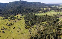 E Belmont Rd, Mica, WA 99023