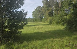 927 Clarendon Chadbourn Road, Chadbourn, NC 28431